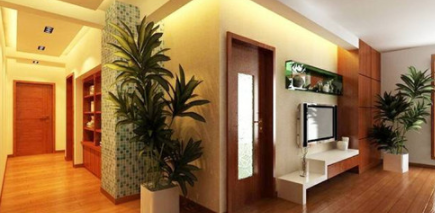 家居風(fēng)水知識學(xué)：家居與風(fēng)水有什么關(guān)系 四大家居風(fēng)水禁忌