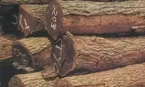 人造環(huán)保板材：實(shí)木家具的主流材種有哪些？