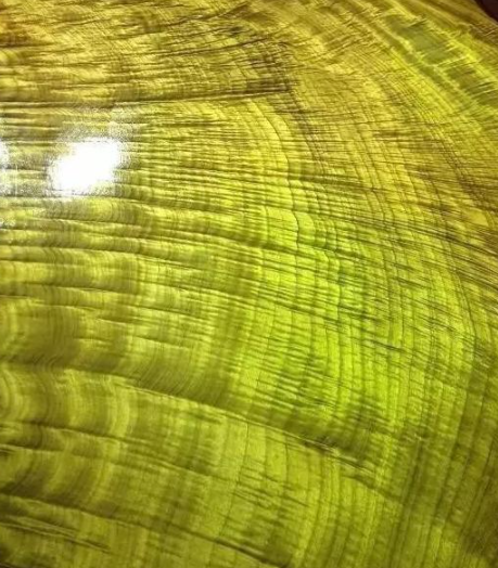 金絲楠烏木：如何區(qū)別金絲楠、黃心楠、黃金樟