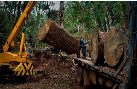【新中式家具定制】中式家具選購、陳設(shè)、保養(yǎng)全攻略！